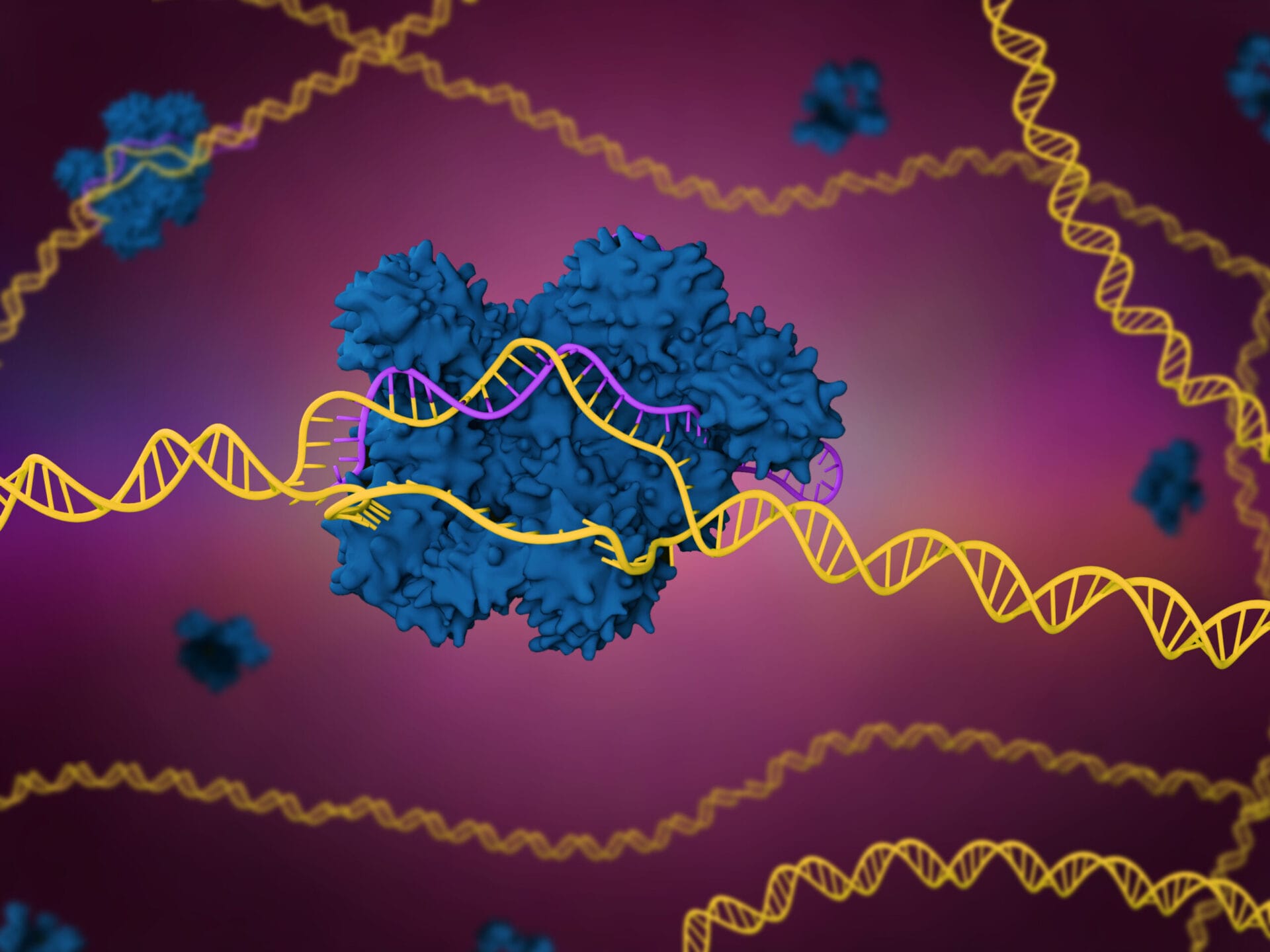 Recent Advancements in CRISPR-Cas